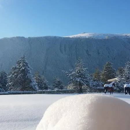Hotel Luch Sapareva Banja